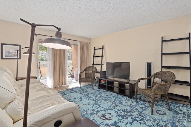 living room featuring a textured ceiling