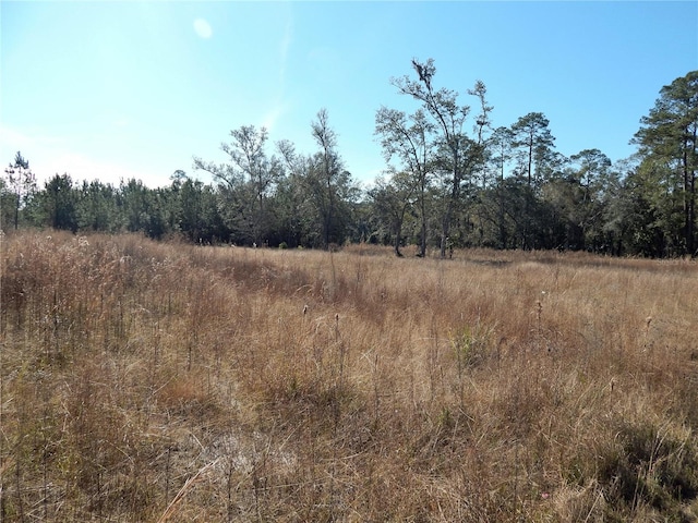 00 SW Commander Ct, Lake City FL, 32025 land for sale