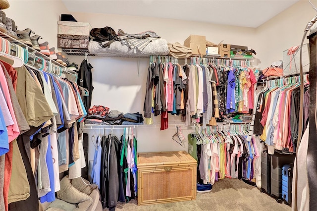 walk in closet featuring carpet floors