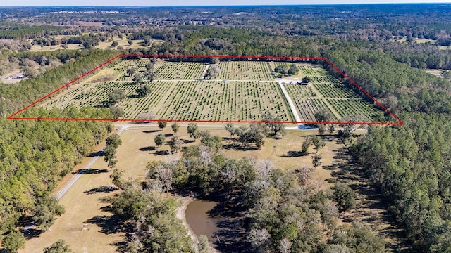 birds eye view of property with a rural view