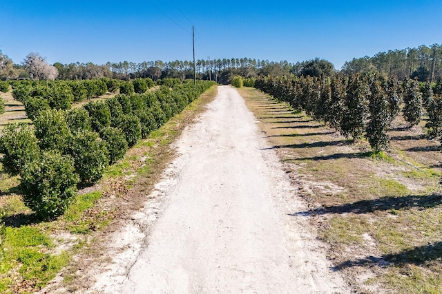 view of road featuring a rural view