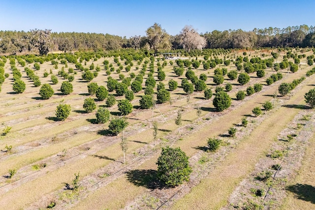 bird's eye view featuring a rural view