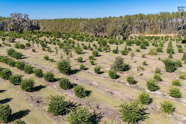 drone / aerial view featuring a rural view