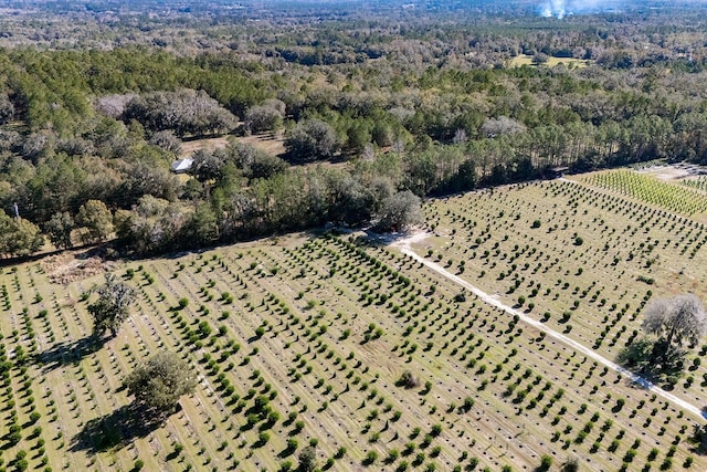 birds eye view of property featuring a rural view