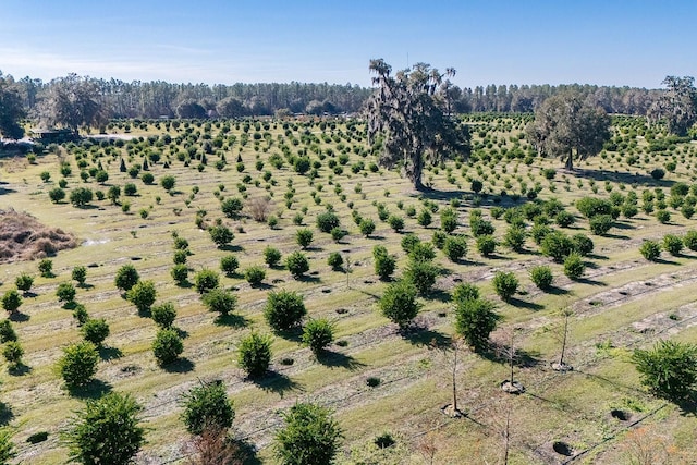 birds eye view of property featuring a rural view