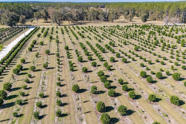 bird's eye view with a rural view