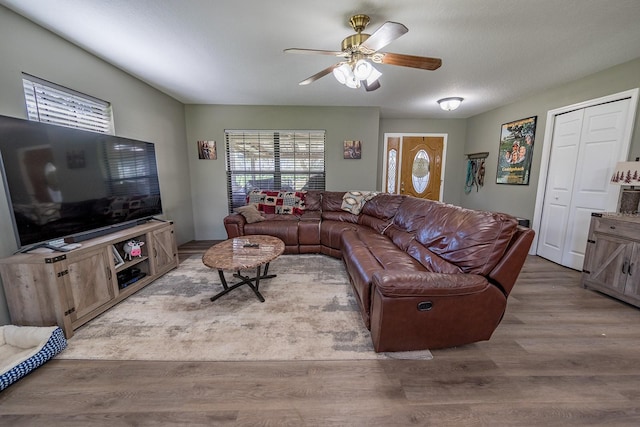 living room featuring ceiling fan and light hardwood / wood-style flooring