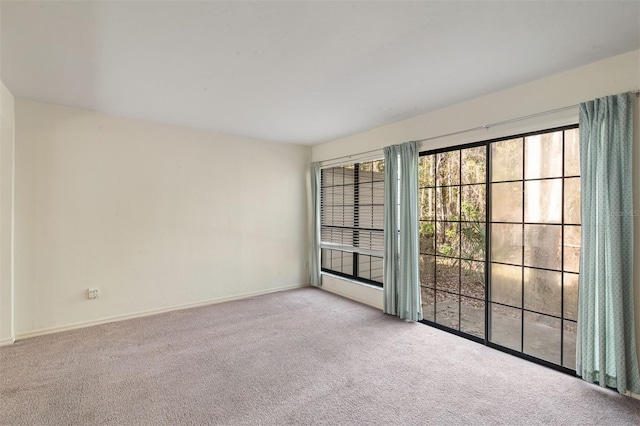 empty room featuring a healthy amount of sunlight and light colored carpet