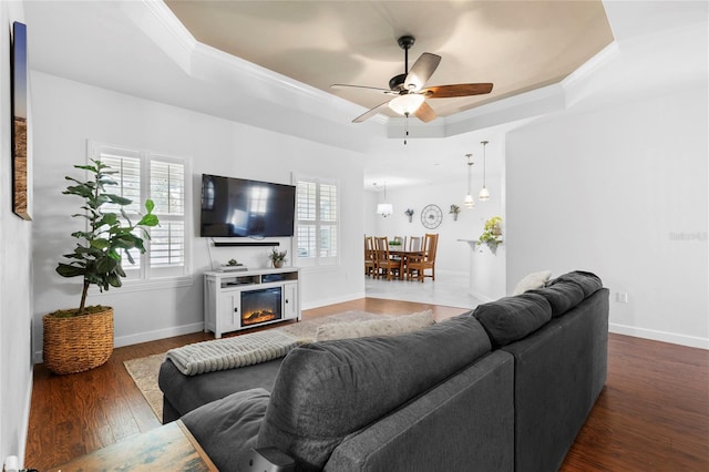 living room featuring dark hardwood / wood-style flooring, a raised ceiling, ceiling fan, and crown molding