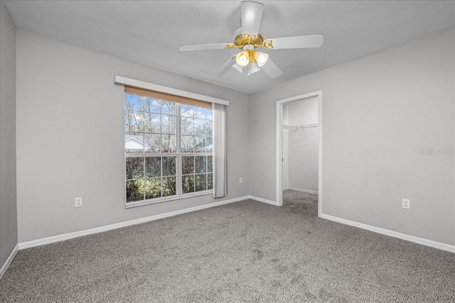 unfurnished bedroom featuring carpet, a walk in closet, a closet, and ceiling fan