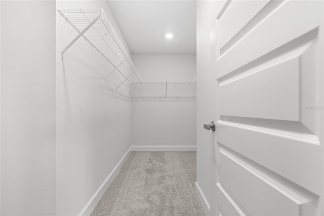 spacious closet with light colored carpet