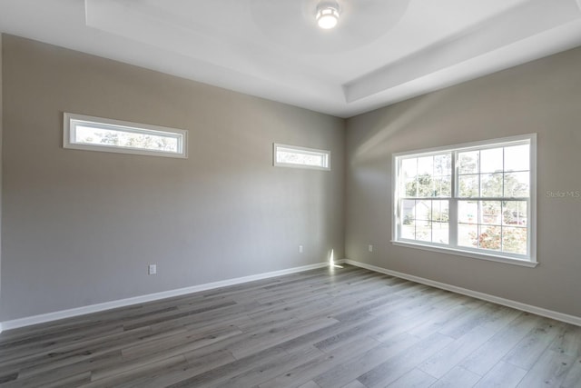 11828 NW 15th Rd, Gainesville, FL 32606 - empty room featuring a tray ceiling, baseboards, plenty of natural light, and wood finished floors