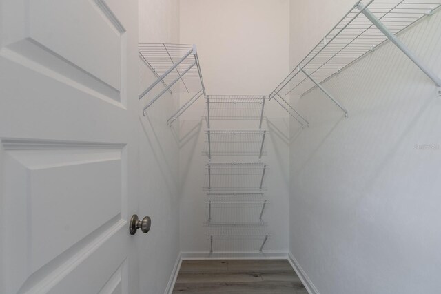 11828 NW 15th Rd, Gainesville, FL 32606 - walk in closet with wood finished floors