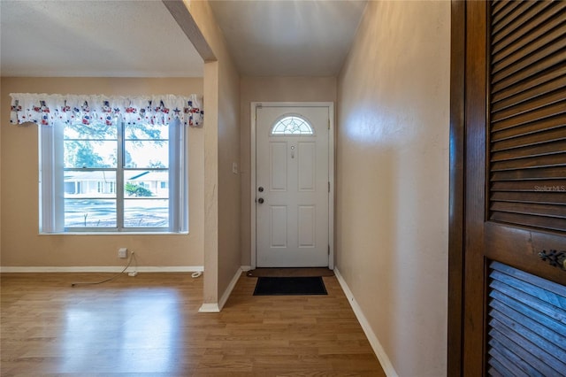 foyer entrance featuring light hardwood / wood-style flooring