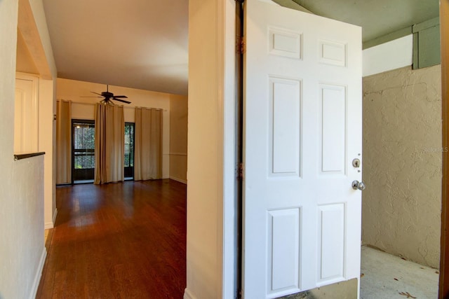 hallway featuring dark hardwood / wood-style flooring