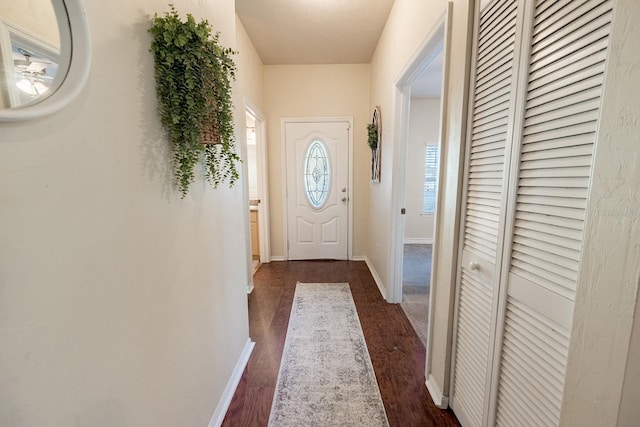 doorway to outside featuring dark hardwood / wood-style floors