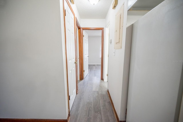 hallway featuring hardwood / wood-style flooring and a textured ceiling