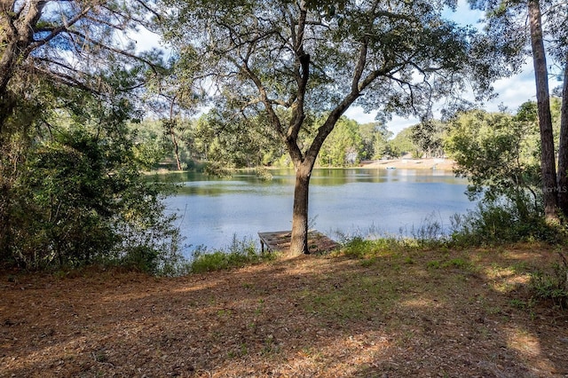 property view of water