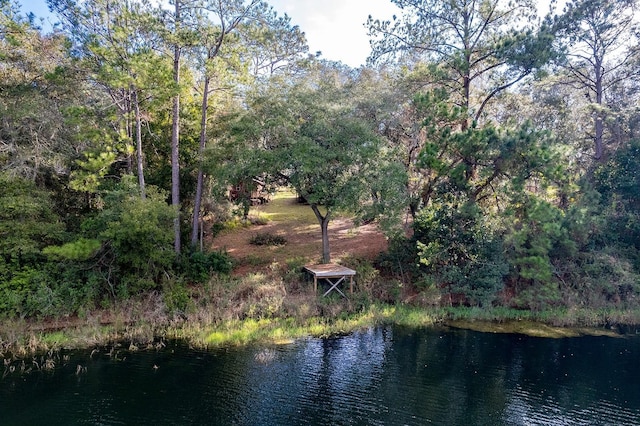 view of water feature