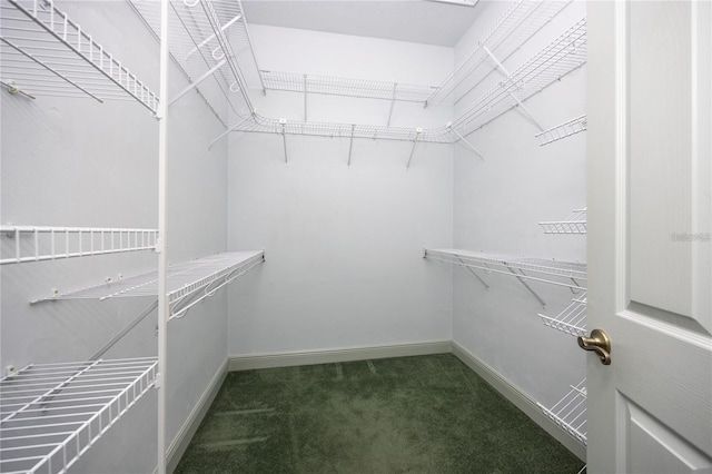 spacious closet featuring dark colored carpet