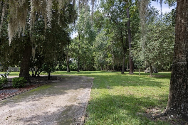 surrounding community featuring a lawn