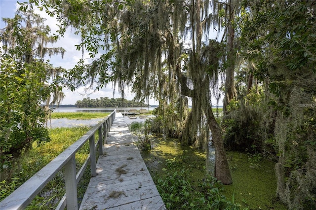 dock area with a water view