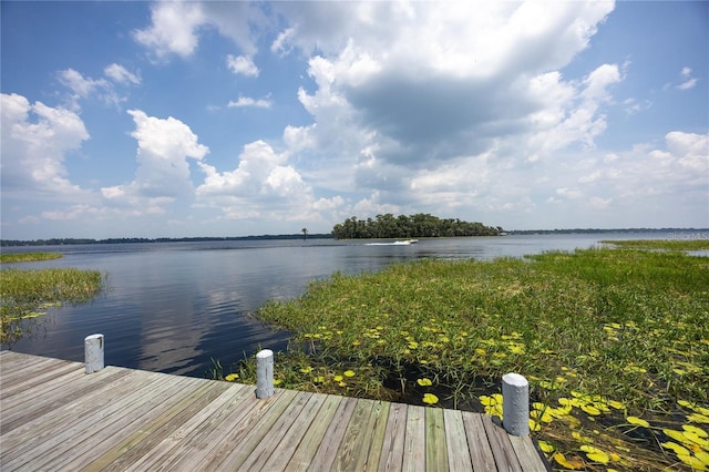 dock area with a water view