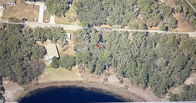 Listing photo 2 for TBD39430-43-006 SE 52nd Pl, Ocklawaha FL 32179