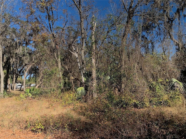 00 Faye St, Hawthorne FL, 32640 land for sale