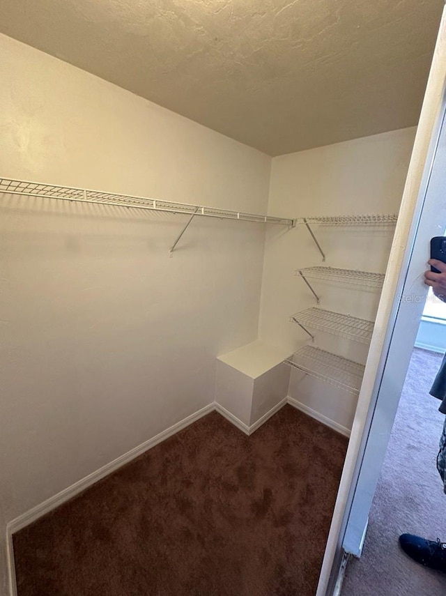 walk in closet with dark carpet