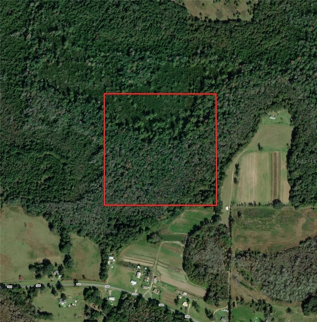 SW Moseley Hall Rd, Madison FL, 32340 land for sale