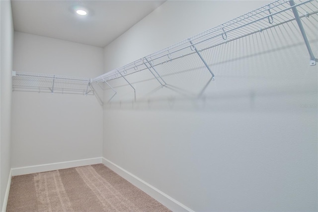 spacious closet featuring carpet floors