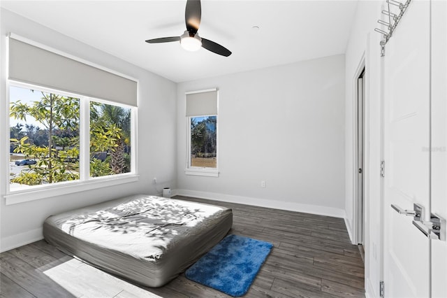 bedroom featuring ceiling fan, dark hardwood / wood-style flooring, and a closet