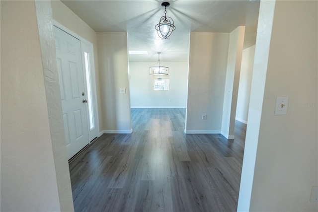 entryway featuring dark wood-type flooring