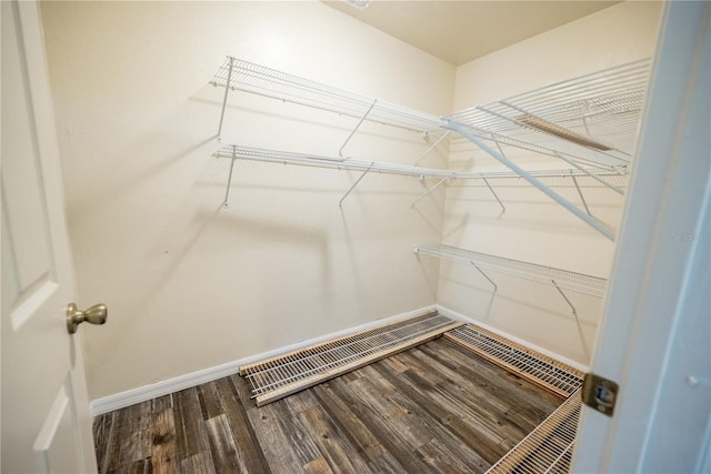 spacious closet with hardwood / wood-style flooring