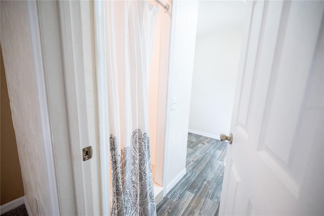 bathroom featuring hardwood / wood-style floors