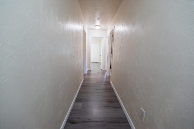 hall featuring wood-type flooring