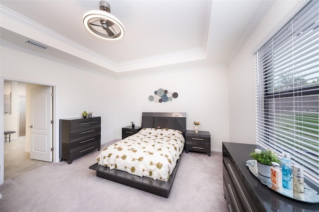 carpeted bedroom with a raised ceiling