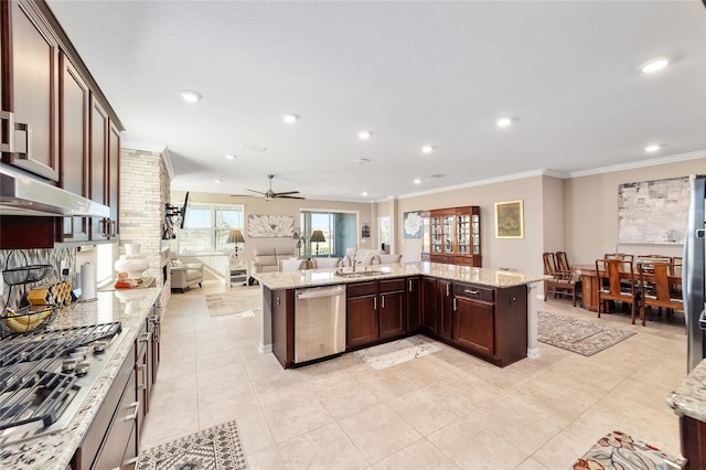 kitchen featuring ceiling fan, appliances with stainless steel finishes, sink, and light stone countertops