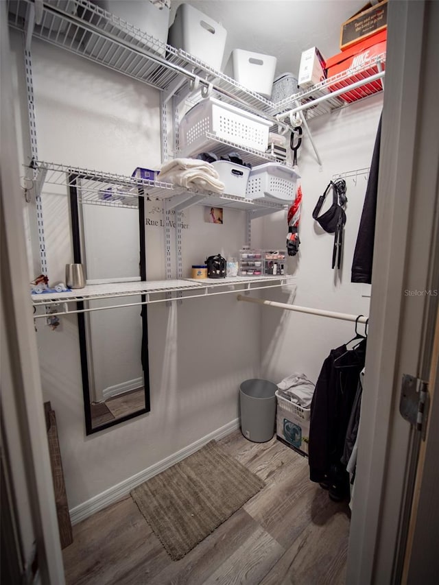 walk in closet featuring hardwood / wood-style flooring