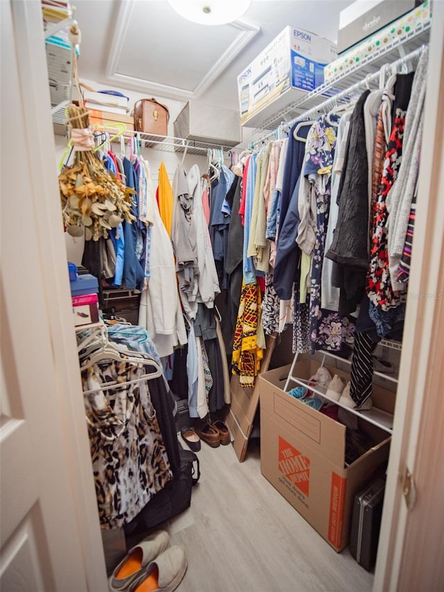 walk in closet with light hardwood / wood-style flooring