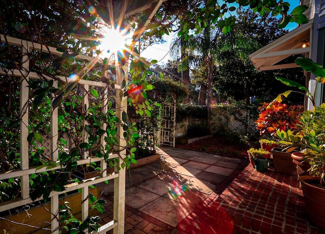 view of patio