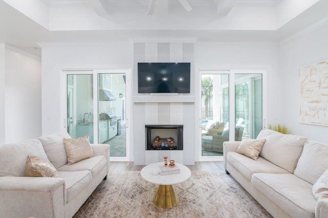 living room with a raised ceiling, crown molding, sink, wood-type flooring, and a fireplace