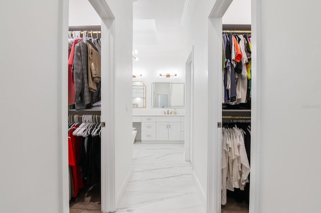 view of spacious closet