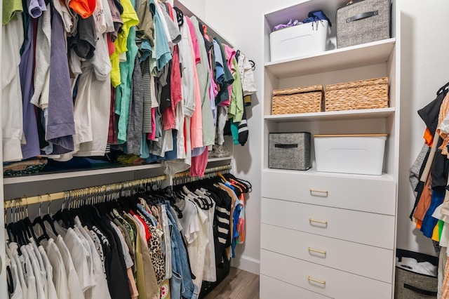 spacious closet with hardwood / wood-style floors