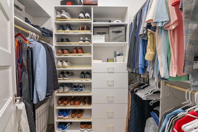 view of spacious closet