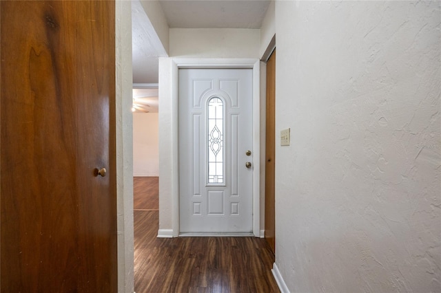 doorway featuring dark hardwood / wood-style flooring