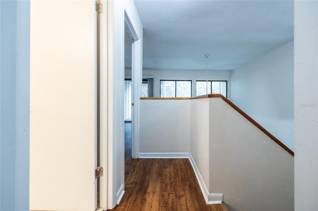 hallway featuring dark wood-type flooring