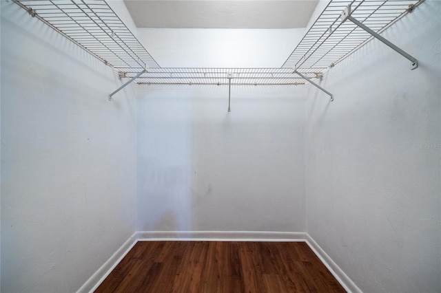 walk in closet featuring hardwood / wood-style floors