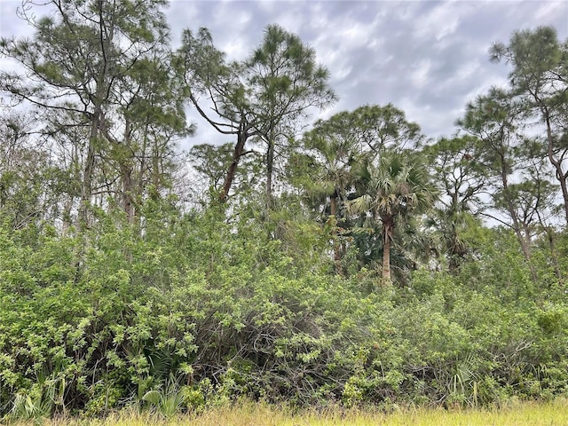 514 Woodman Dr, Lehigh Acres FL, 33972 land for sale